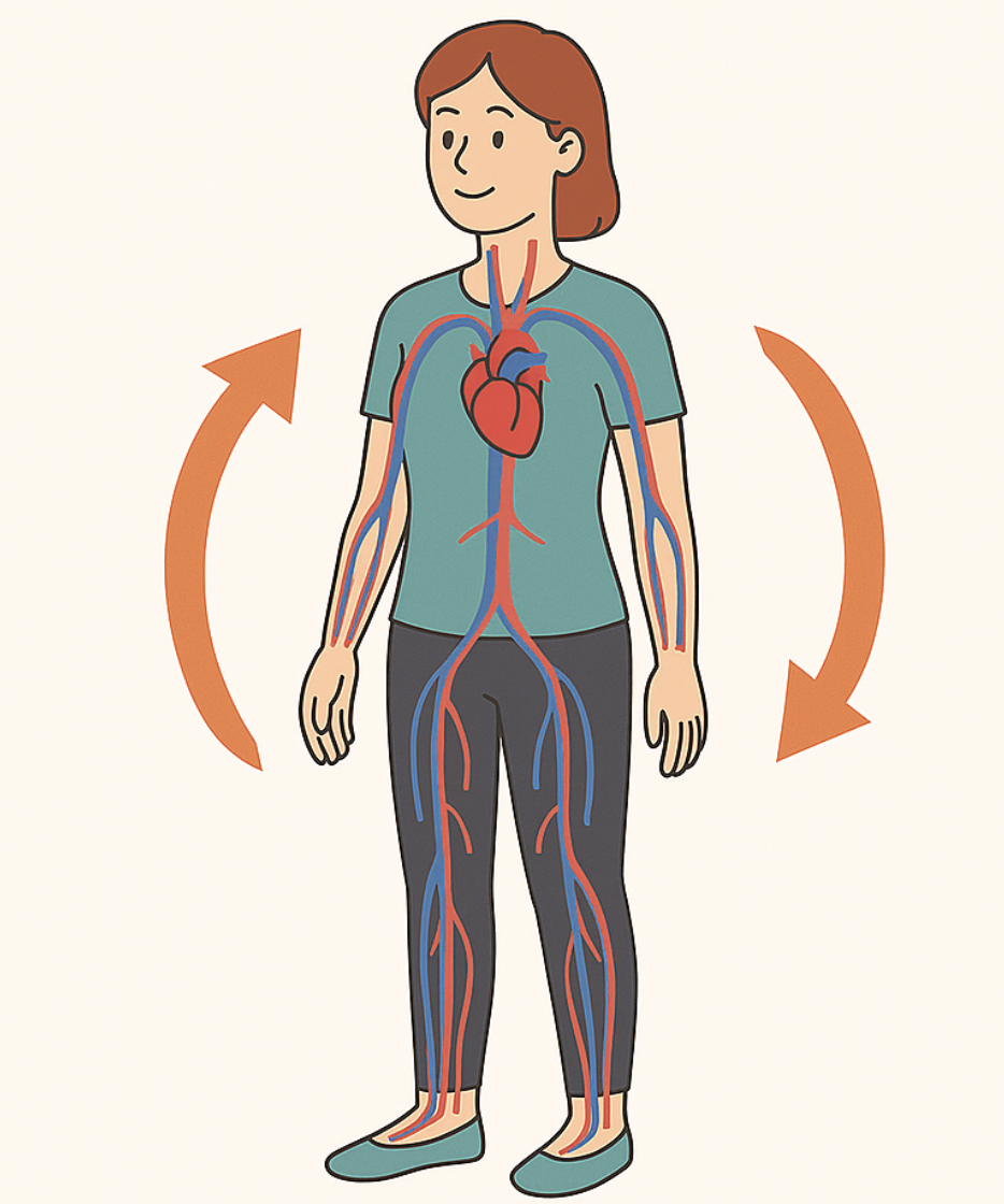 하루 5분, 혈류가 부드럽게 흐르는 스트레칭 루틴