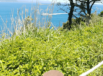 홀로떠나는제주자유여행_송악산둘레길