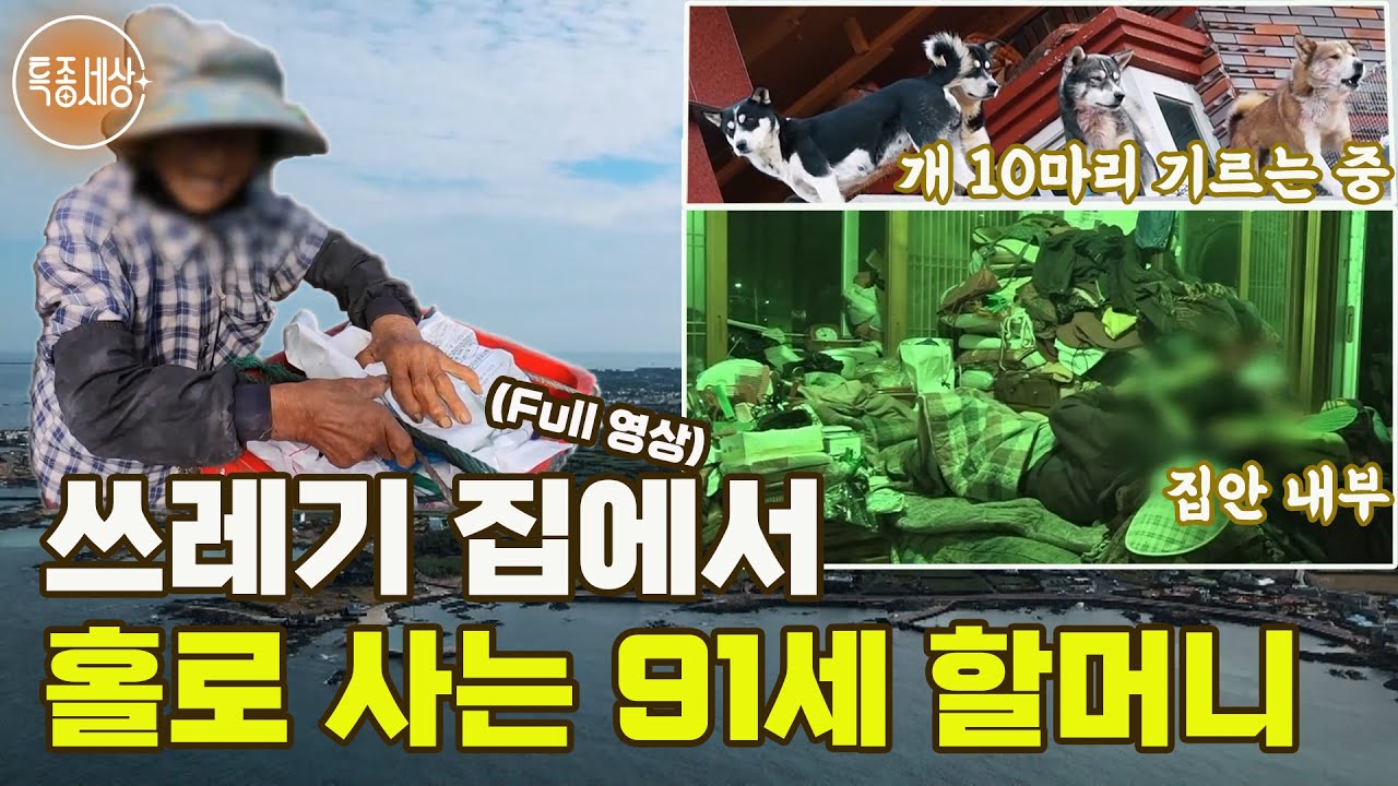 쓰레기를 쌓아두는 제주도 땅 부자 할머니