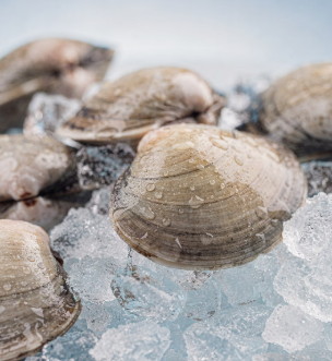 간에 좋은 음식 10