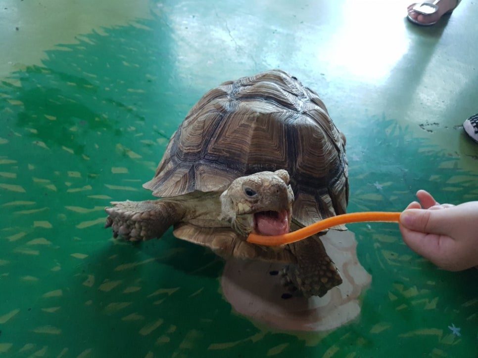 평택 가볼만한곳 베스트10