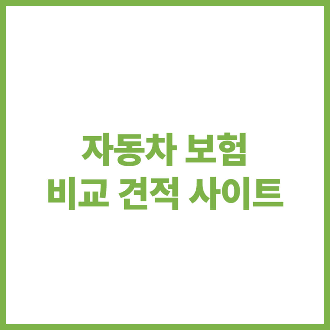 자동차 보험 비교 견적