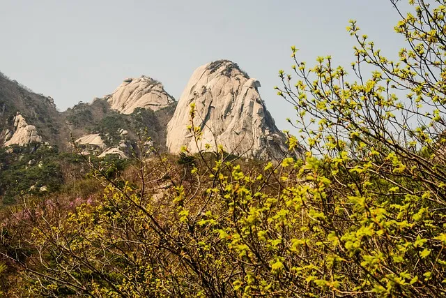 한산도 배시간표 배편 요금 예약 _6
