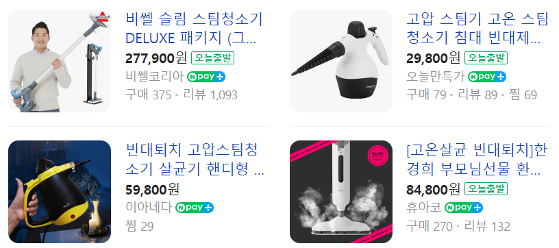 스팀 청소기 빈대