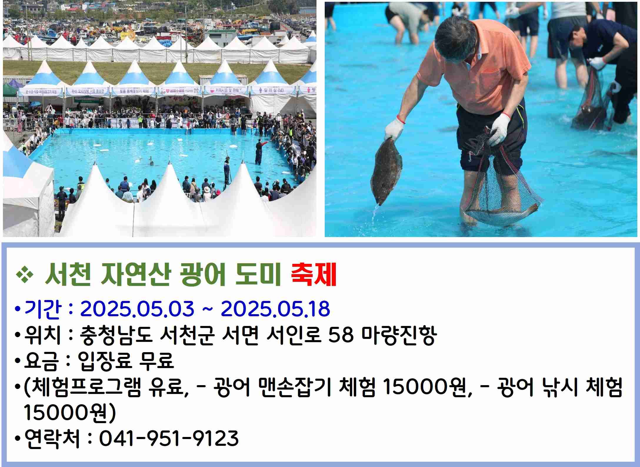 서천 자연산 광어 도미 축제