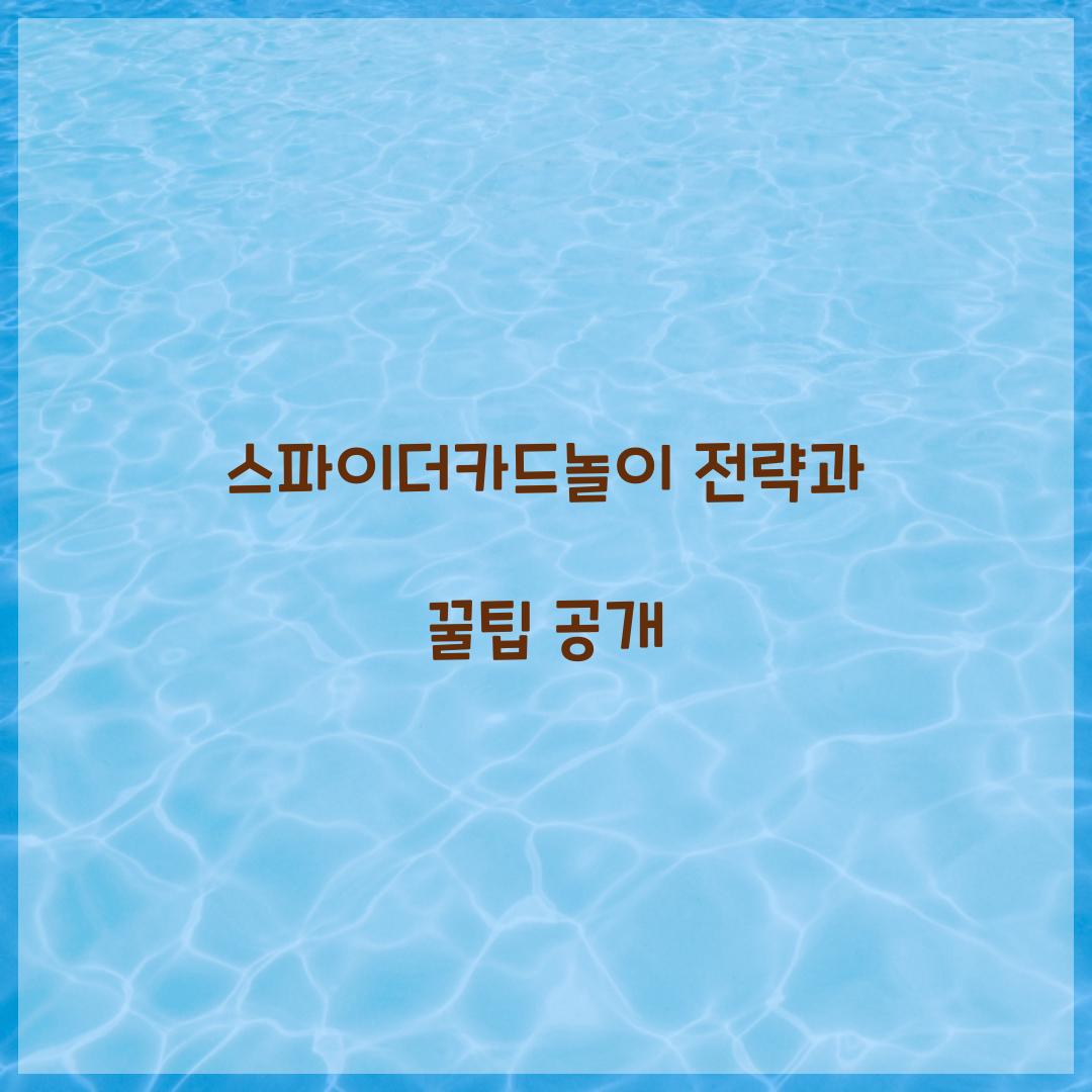 스파이더카드놀이