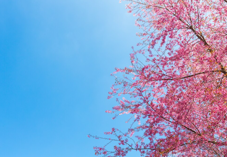 2024년 4월 주간별/지역별 날씨 전망