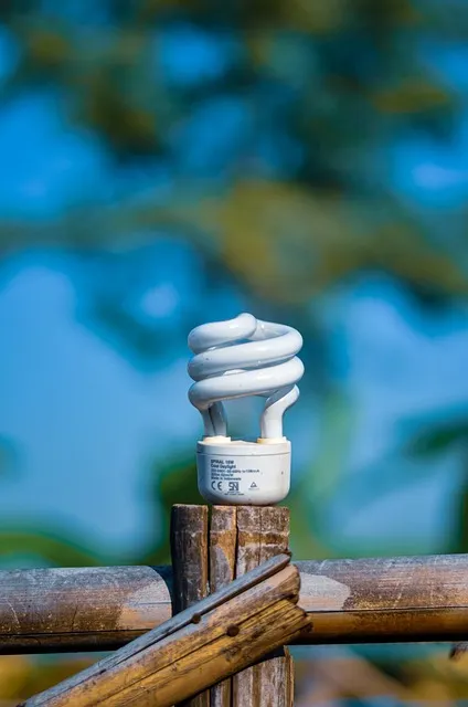 호리 뜻 고사성어 유리 의미 활용법_8