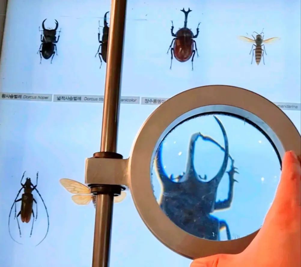 부천자연생태공원3. 부천자연생태박물관: 아이들이 좋아하는 공룡&amp;#44; 곤충&amp;#44; 물고기&amp;#44; 동물이 있는 곳