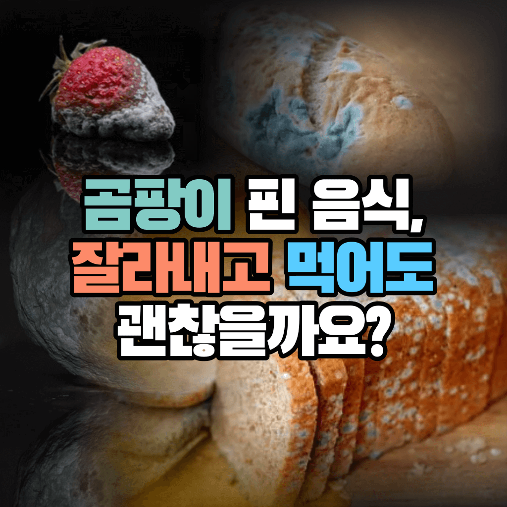 곰팡이 핀 음식, 잘라내고 먹어도 괜찮을까요?