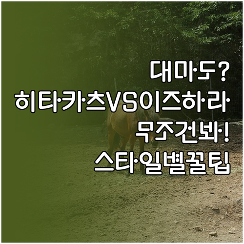 히타카츠와 이즈하라 대마도 여행 스타..