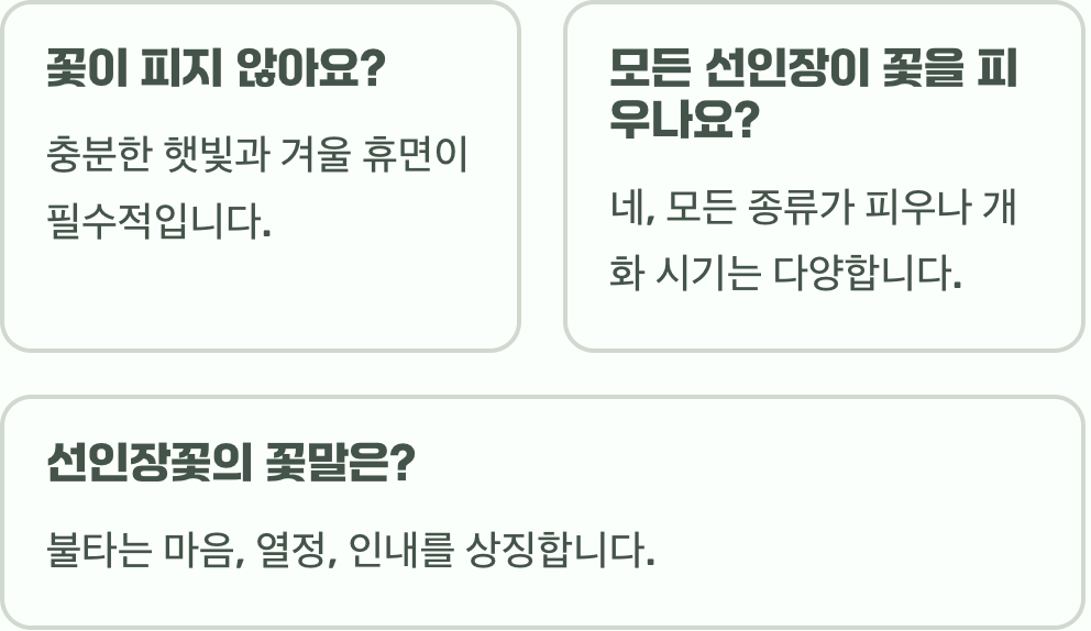 선인장꽃&amp;#44; 왜 종류마다 모양과 색깔이 천차만별일까?