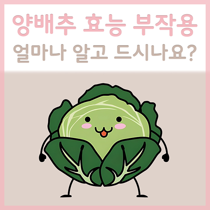 신선한-양배추