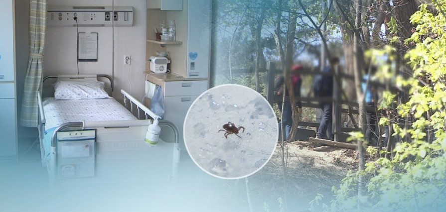 쯔쯔가무시-털진드기병-증상-예방방법-치료방법-안내