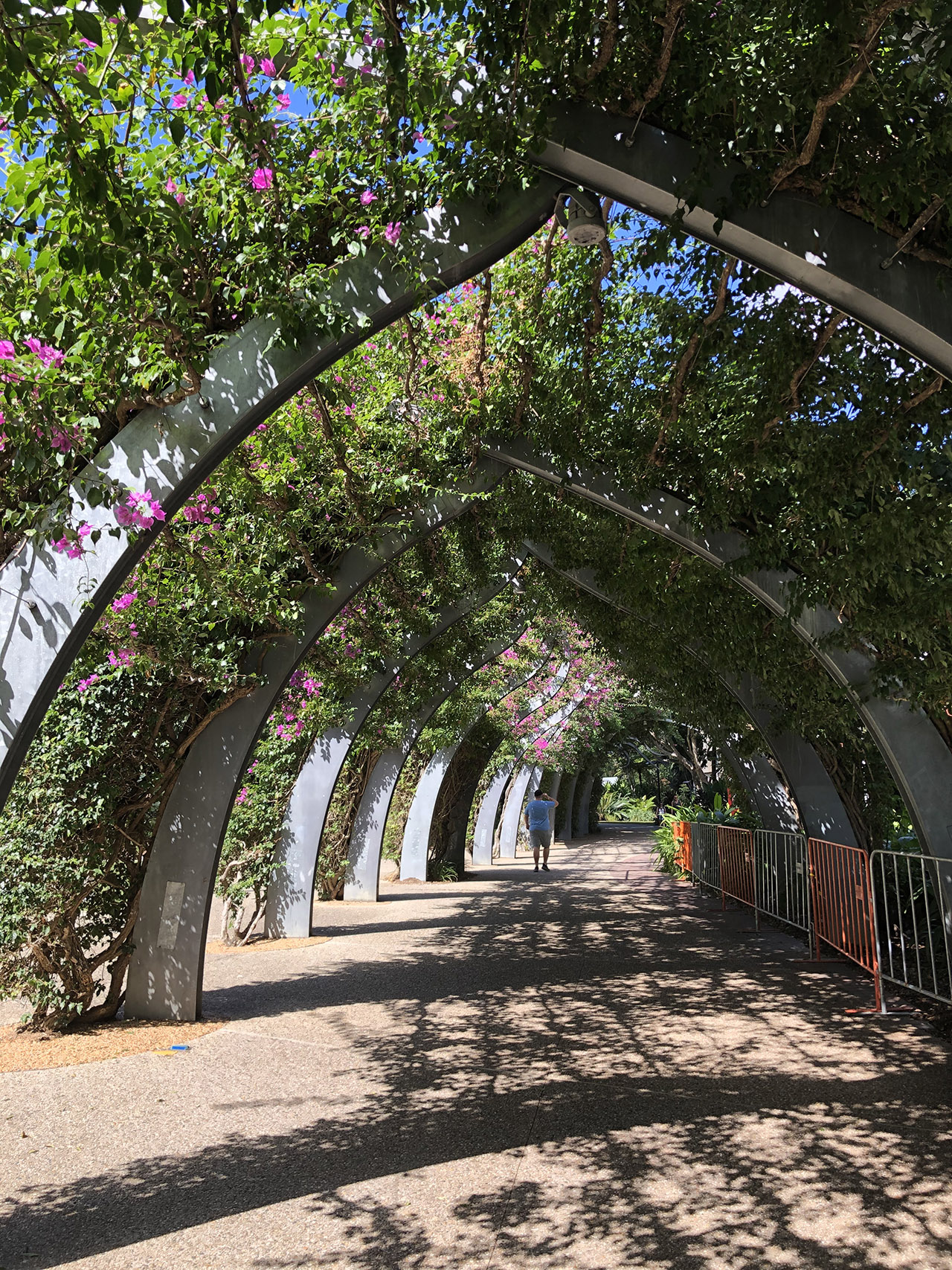 아버리텀 산책로