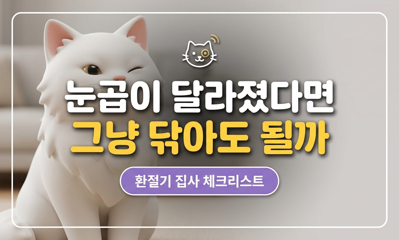 고양이 눈곱 신호 썸네일