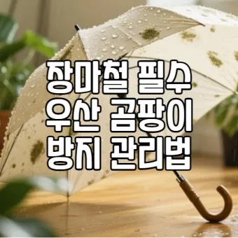 우산 곰팡이 건조 방법과 보관 팁 방습제 활용_2