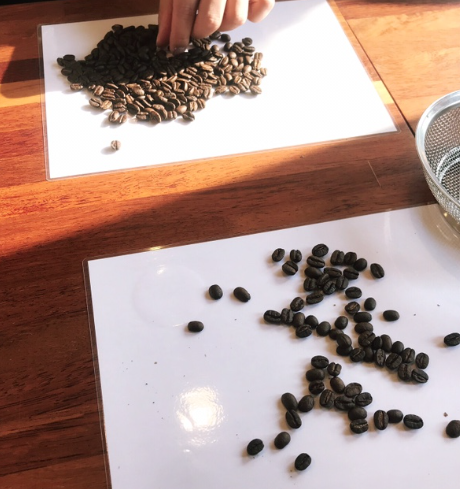 나로커피아일랜드