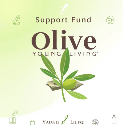 올리브영민생지원금그림