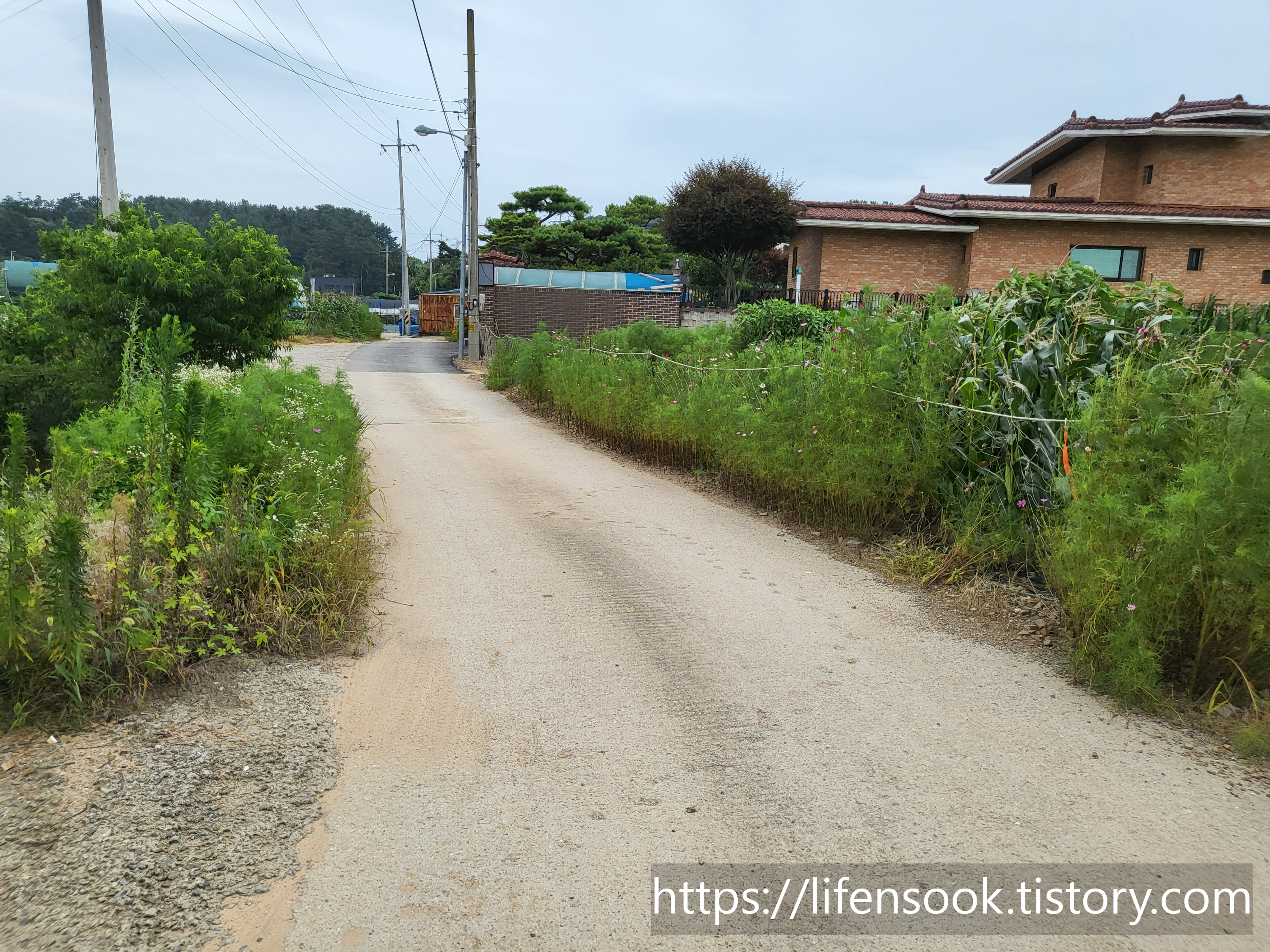 대부해솔길 3코스 길 10