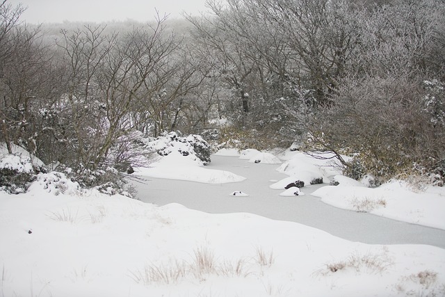 한라산 탐방 예약 성판악 관음사 코스