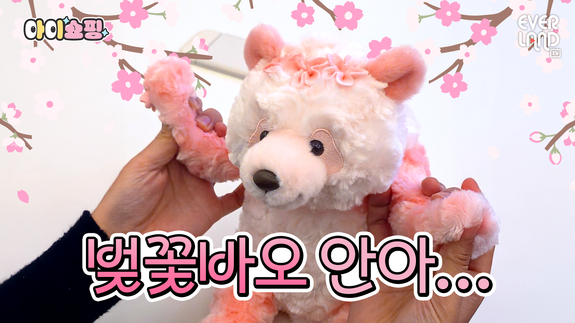 나랑 벚꽃바오 보러 갈래? | #shorts #아이쇼핑 #벚꽃바오