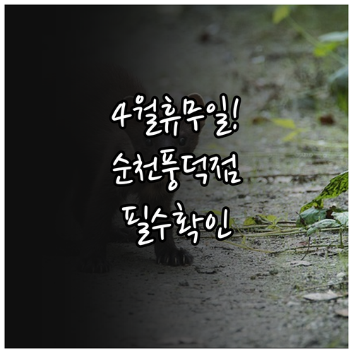 홈플러스 순천풍덕점 4월 휴무일 확인..