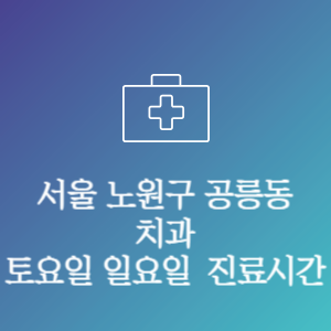 서울 노원구 공릉동 치과 주말 토요일 일요일 문여는 병원 진료시간