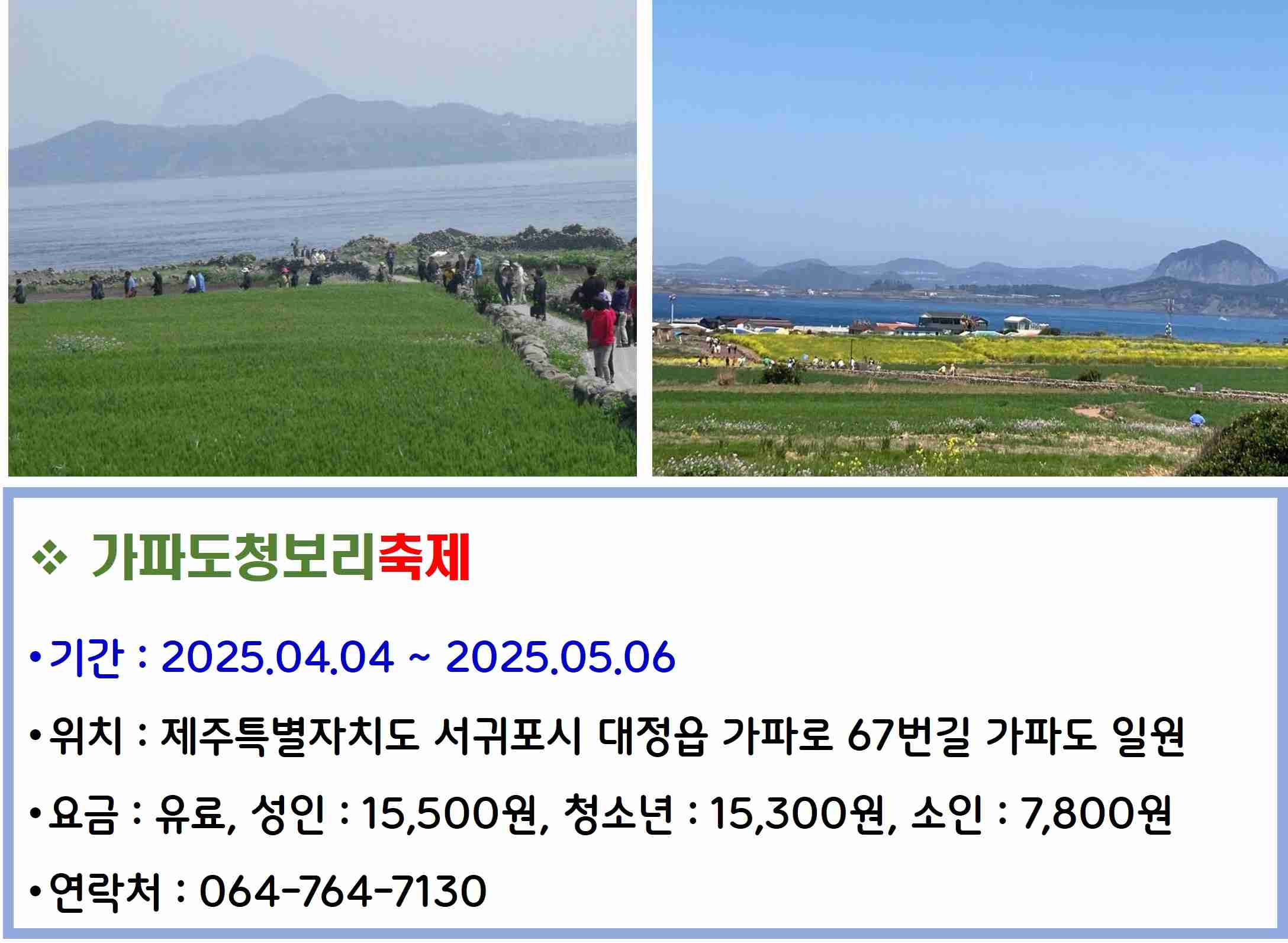 가파도청보리축제