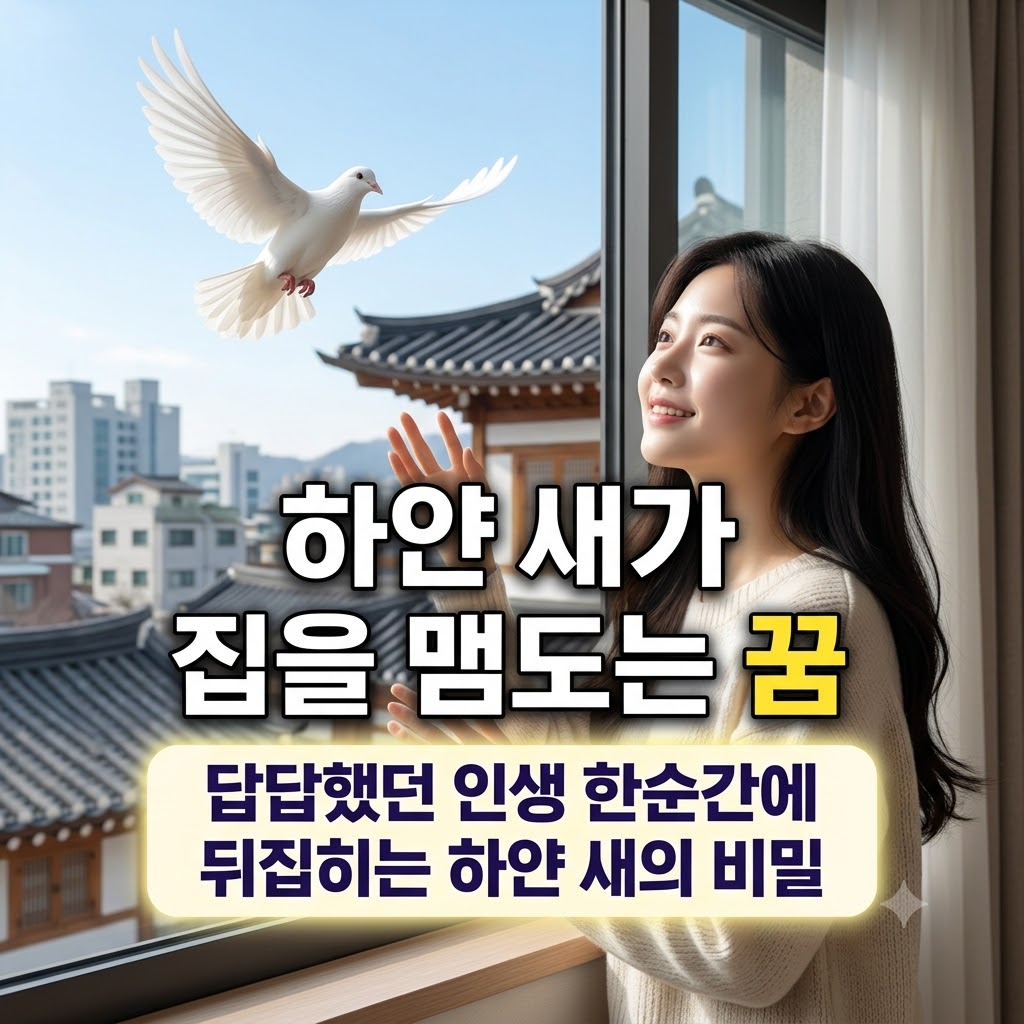 하얀 새가 집을 맴도는 꿈
