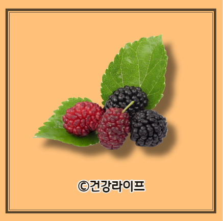 오디 효능&#44; 오디 부작용&#44; 오디 수확시기&#44; 오디 먹는 방법