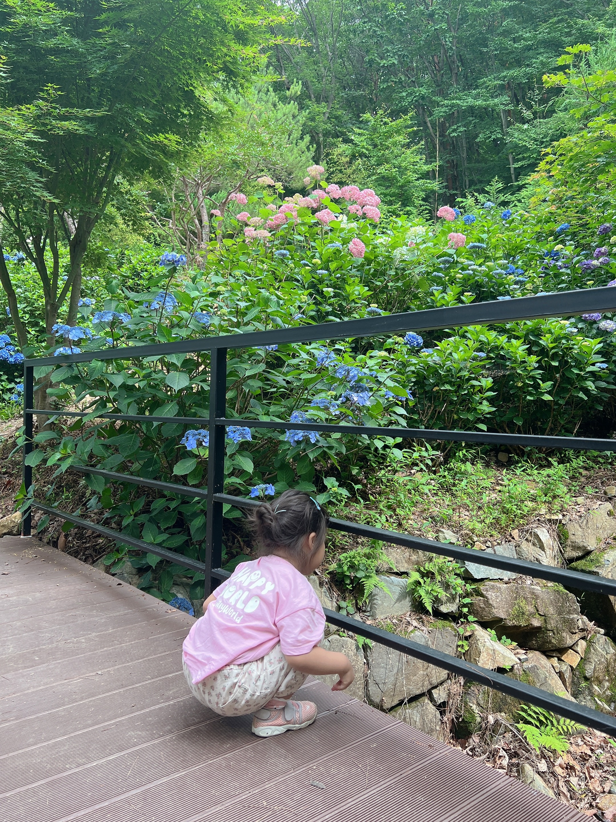 양산카페, 양산 꽃 카페, 양산 수국카페, 양산카페가볼만한곳, 수국카페