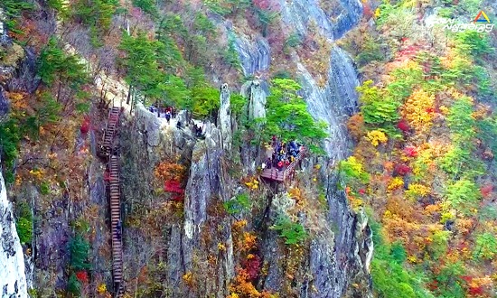 무릉계곡 관련 홍보영상 이미지