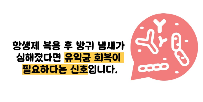 방귀 냄새가 심한 이유
