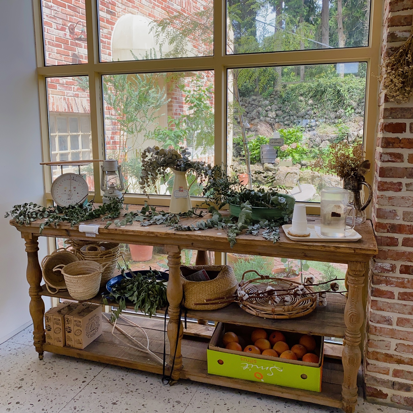 제주 조천 동백동산 자드부팡(jas de bouffan) 카페 리뷰 추천 주차 후기 솔직후기