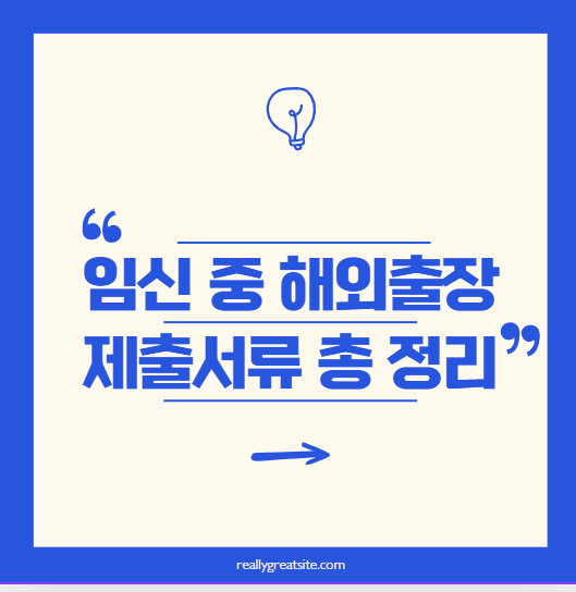 임신 중 해외출장, 항공사와 국가별 규정 총정리