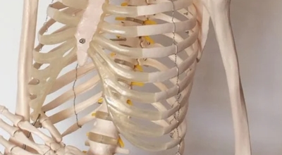 오른쪽 갈비뼈 아래 통증 이미지