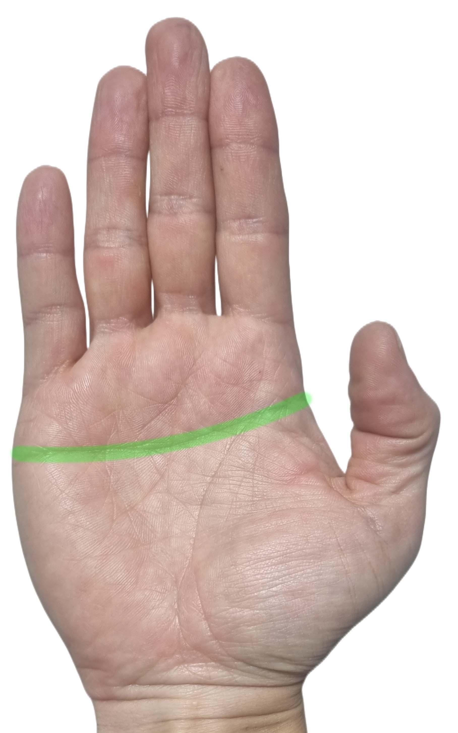 부자들 손금의 공통점? 돈을 만지는 손금(M자, 삼지창, 막쥔금, 재물선, 사업선)