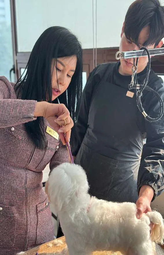 에이스애견미용학원 일산점