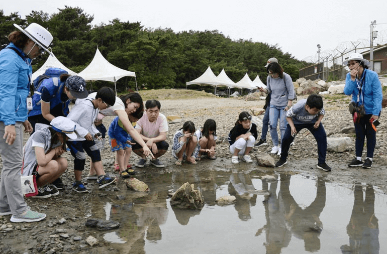 뱃놀이축제체험프로그램