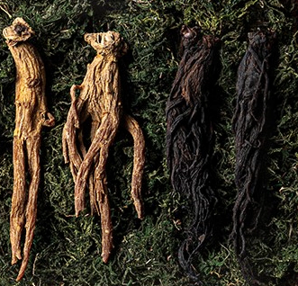 흑도라지 효능 흑도라지청 만드는 법 정리