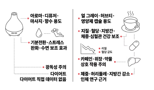 베르가못-효능-다이어트-효과-부작용-후기-오일-차