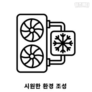 갱년기 증상