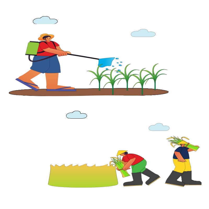 병해충 대비 &ndash; 장마 전에 약제 or 친환경 방제