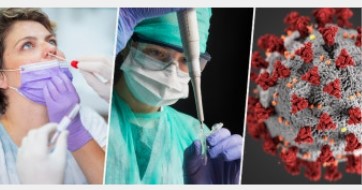 코로나바이러스19 세균 검사 등의 이미지