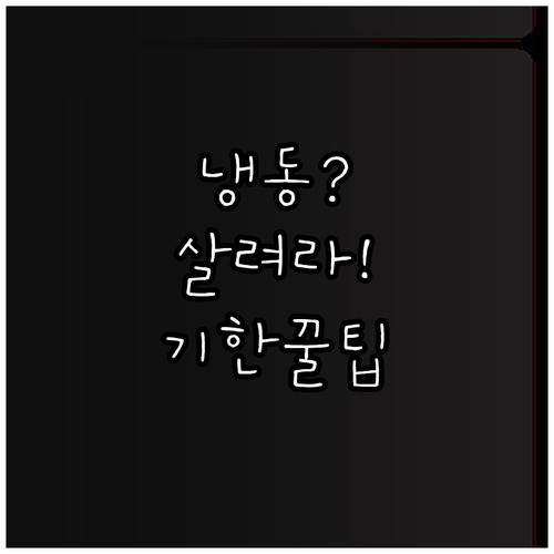 냉동 보관 기한과 오래된 재료 살리는..