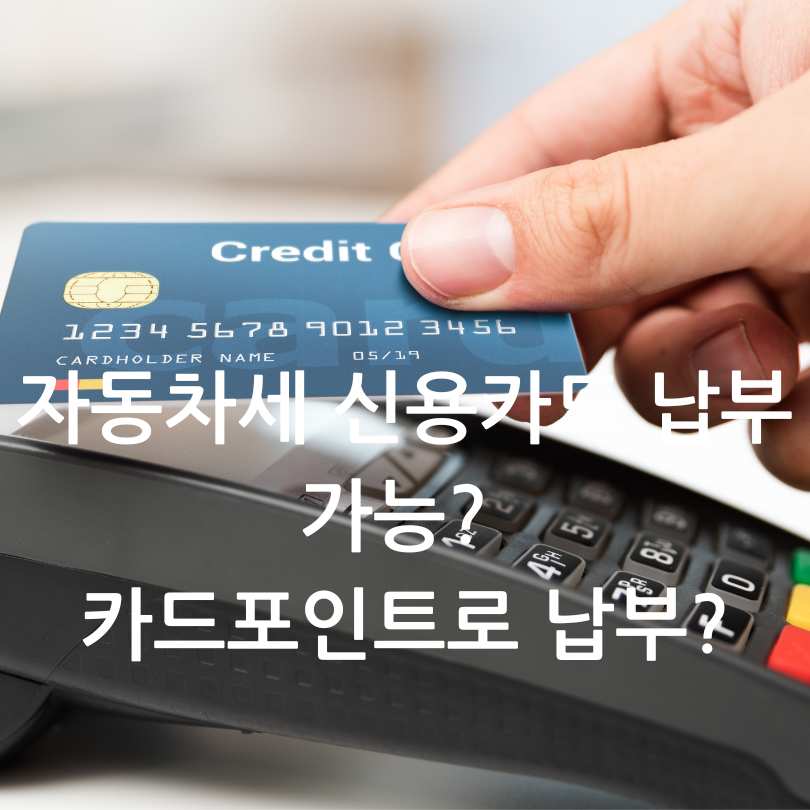 2025 상반기 자동차세 납부 방법