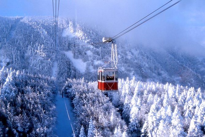 세계에서 가장 긴 브루사 케이블카