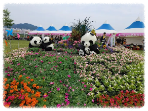 대동생태체육공원