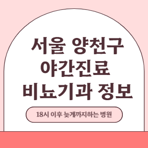 서울 양천구 야간진료 비뇨기과 병원 (18시 이후 늦게까지하는 병원)